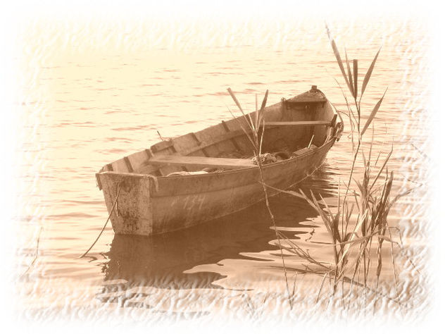 bote