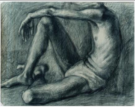 desnudo Charcoal