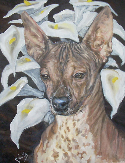 Flores Oil Canvas Animals