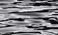 Blanco y Negro