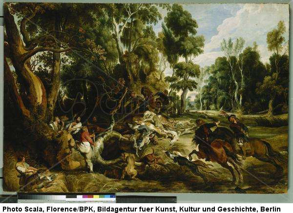 Wild boar hunting Animals