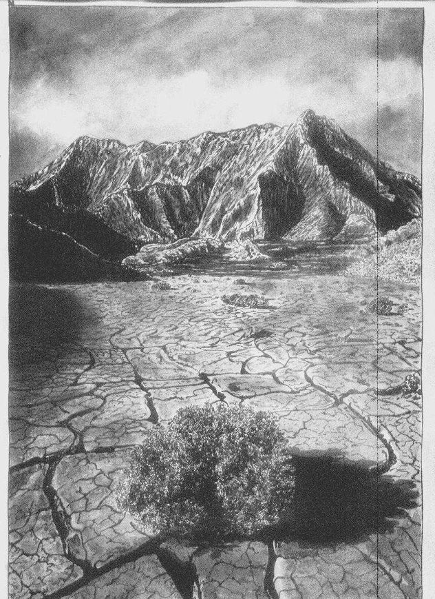 paisaje arido