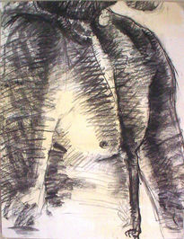 50-Torso hombre, raya