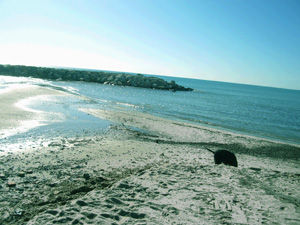 LA PLAYA (La platja)