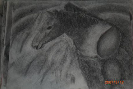 Caballo