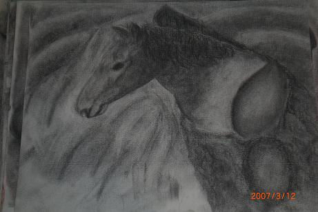 Caballo Charcoal