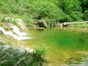 LA LAGUNA (El llac) Naturaleza Color (Digital)