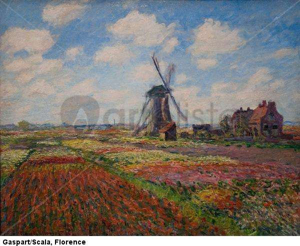Campos de tulipanes en Holanda Paisaje