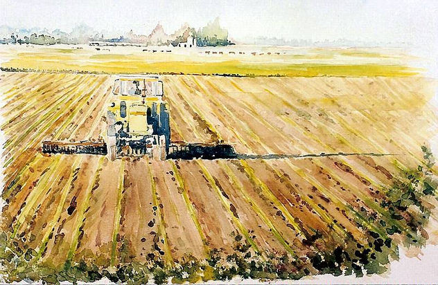 LA COSECHA