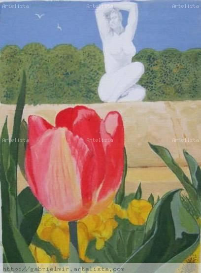tulipan