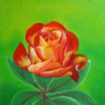 FLORES thumbnail 2