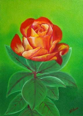 Rosa de multiples colores Oil Panel Floral Painting