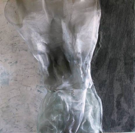 Torso