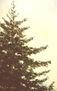 06_ESTUDIO