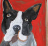 perro