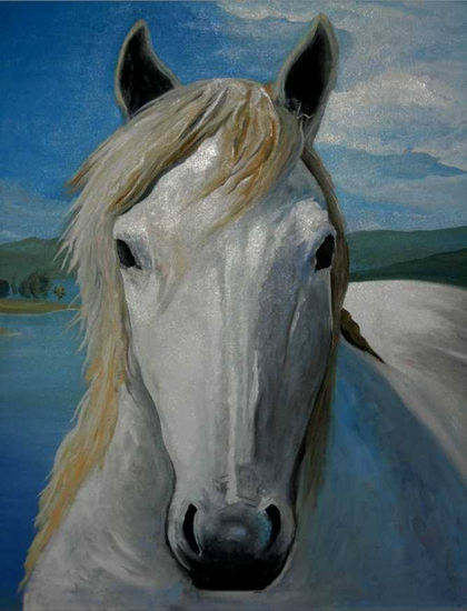 caballo de potrerillo Oil Canvas Animals