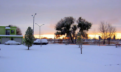 Colección La Nevada
