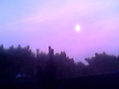 LUNA  AL AMANECER