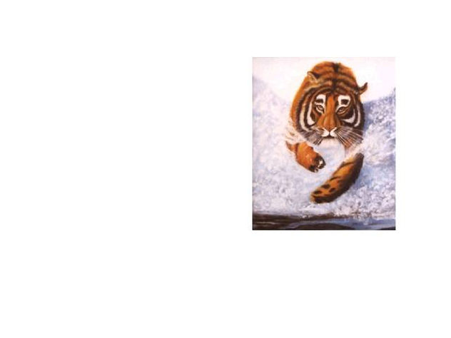 tigre