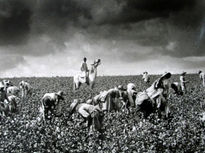 Lebrija, 1961