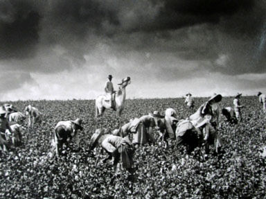 Lebrija, 1961 Portrait Black and White (Manual)