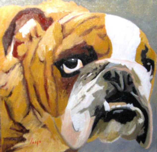 perro