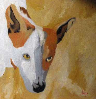 perro