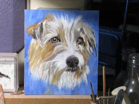 Perro