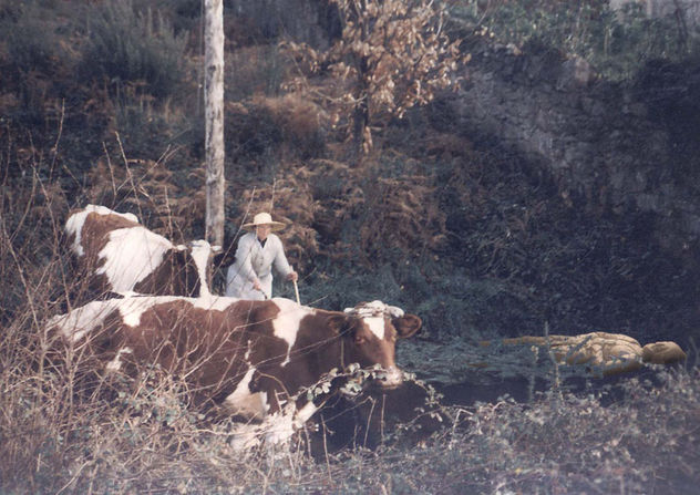 04- Una tarde en el rural