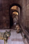 12-Lobos en Tuy