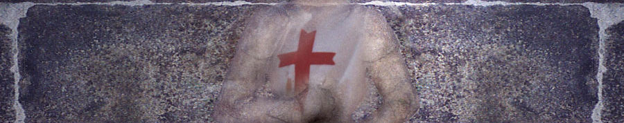 Imagen de portada