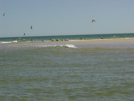 Ilha 2