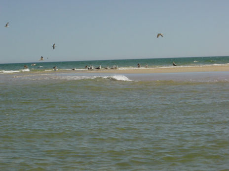 Ilha 2