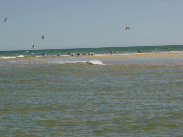 ILHA 2