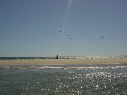 Ilha 3