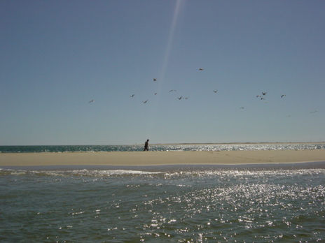 Ilha 3