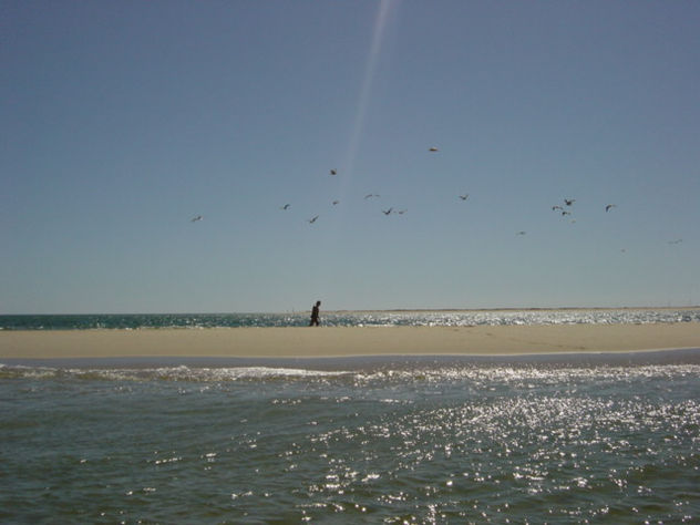 ILHA 3