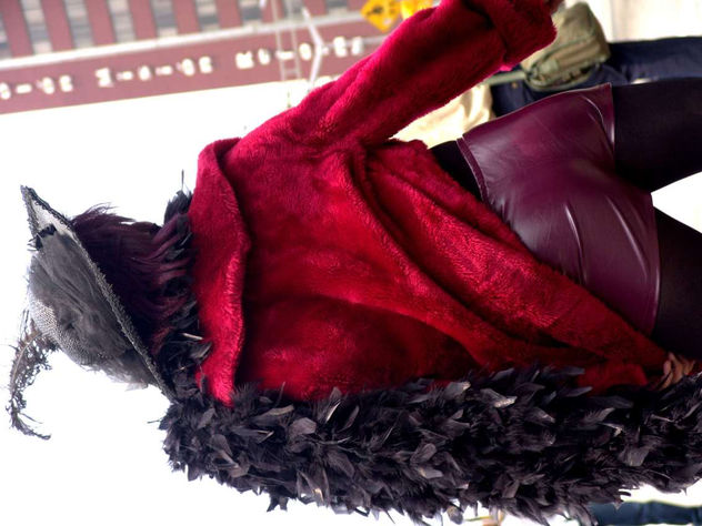PLUMAS