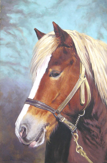 Retrato de un haflinger Óleo Lienzo Animales