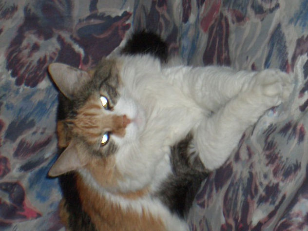 Chiquinha