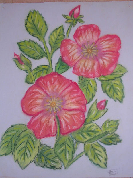 Flores2