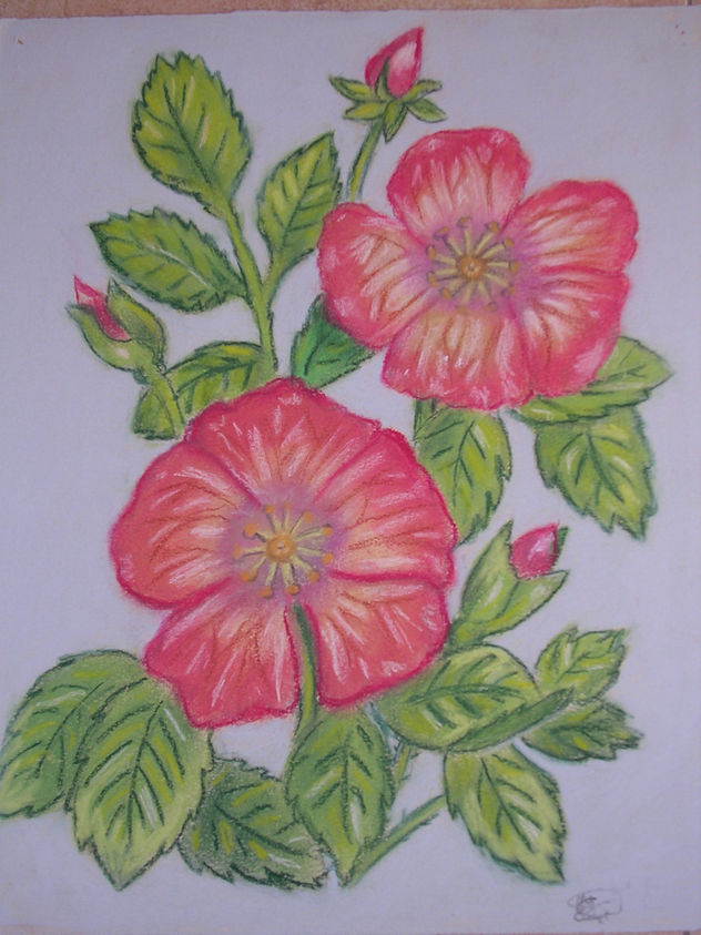 FLORES2