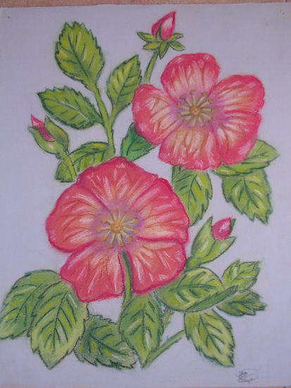 FLORES2 Pastel Card