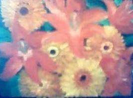 Flores  de  lirios...