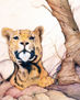 PUMA SUREÑO