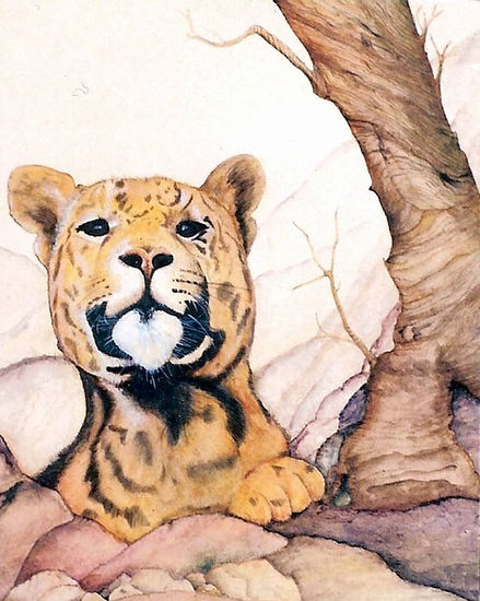 PUMA SUREÑO Oil Canvas Animals