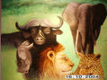 Los cinco grandes de Africa