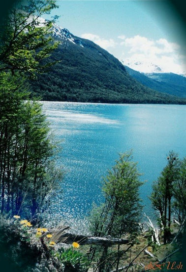 Lago Escondido Naturaleza Color (Química)