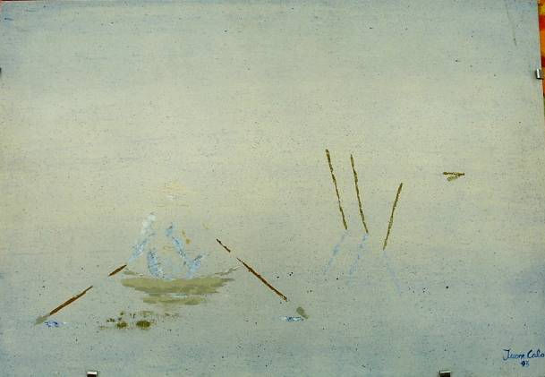 NIEBLA EN EL LAGO