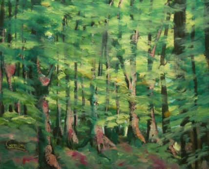 El bosque de las Hadas